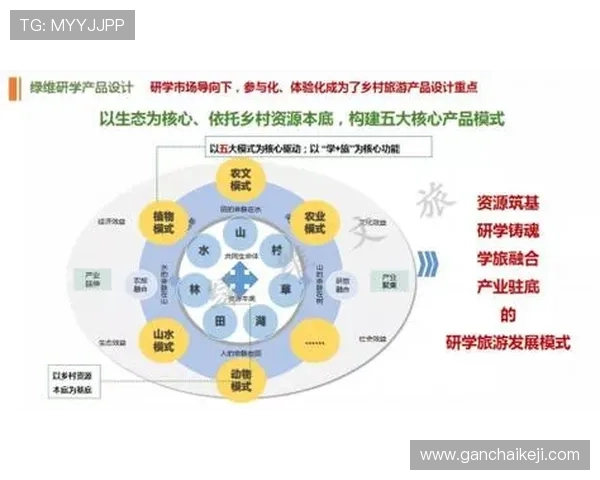 以民营企业家视角探索企业发展创新路径与社会责任双重驱动模式 以民营企业家视角探索企业发展创新路径与社会责任双重驱动模式