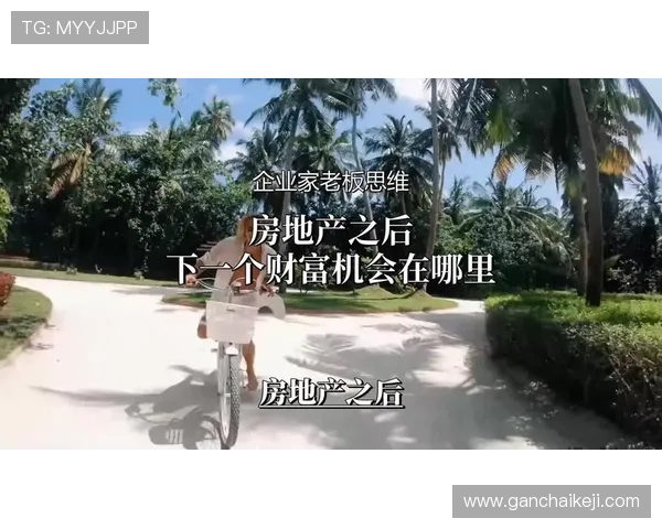 企业家思维：如何在竞争激烈的市场中创新突破并实现持续增长