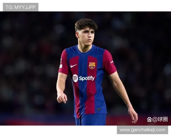 库巴西偶像铁卫传承记精神之路